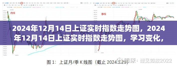2024年12月14日上證實時指數走勢圖，學習變化，開啟自信與成就之旅