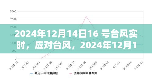 臺風實時更新，關于臺風防御指南，初學者與進階用戶必備指南（2024年）