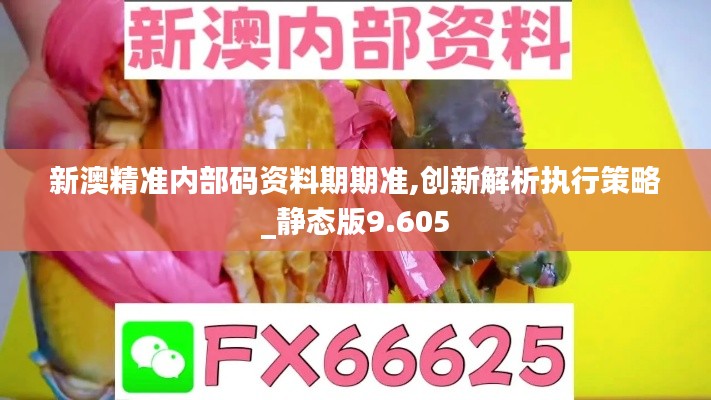 新澳精準內部碼資料期期準,創新解析執行策略_靜態版9.605