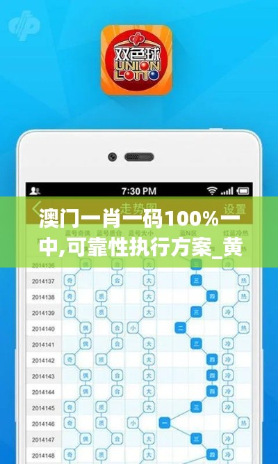 澳門一肖一碼100%一中,可靠性執行方案_黃金版11.452
