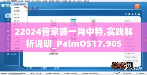 22024管家婆一肖中特,實(shí)踐解析說(shuō)明_PalmOS17.905