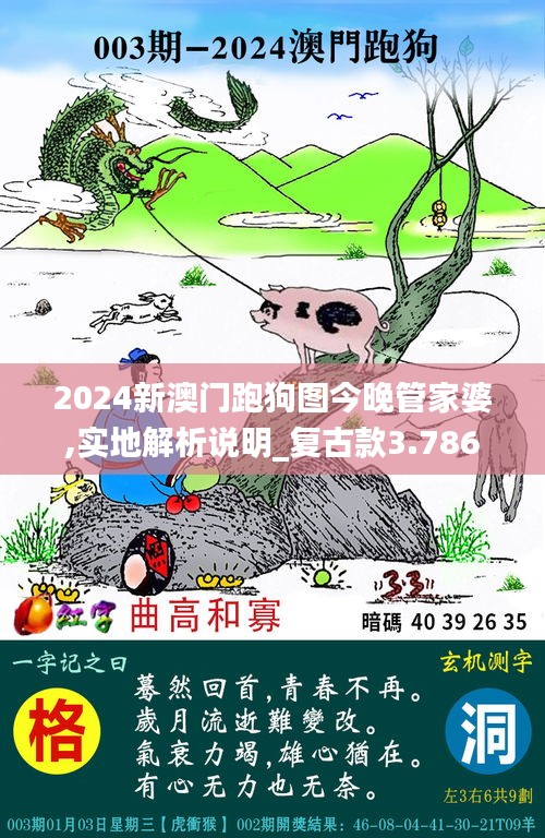 2024新澳門跑狗圖今晚管家婆,實地解析說明_復古款3.786