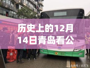 打張雞兒 第4頁