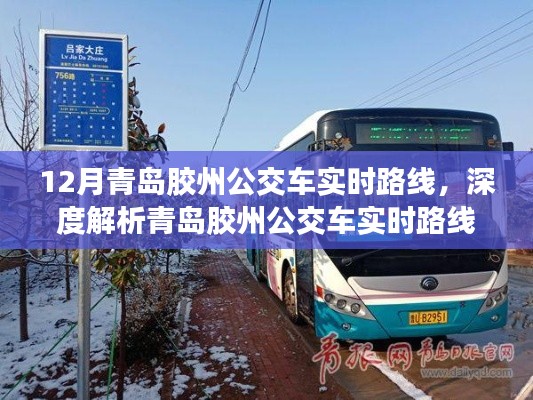 青島膠州公交車實時路線詳解，服務(wù)特性、體驗與競品對比