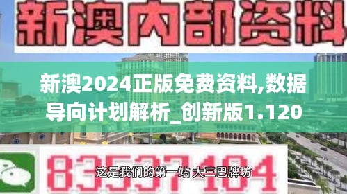新澳2024正版免費資料,數據導向計劃解析_創新版1.120