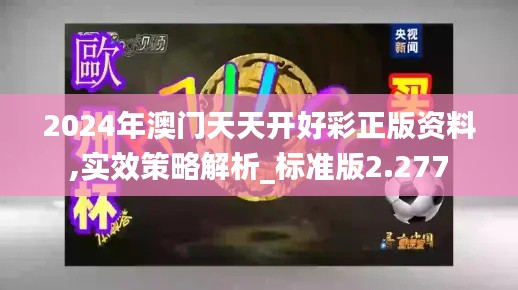 2024年澳門天天開好彩正版資料,實(shí)效策略解析_標(biāo)準(zhǔn)版2.277