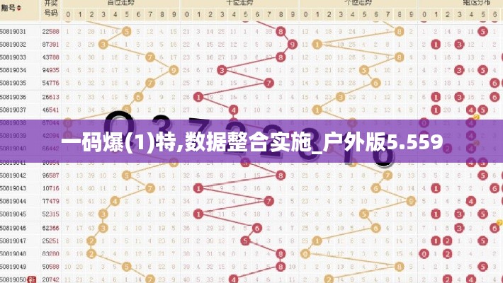 一碼爆(1)特,數據整合實施_戶外版5.559
