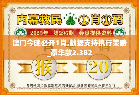澳門今晚必開1肖,數據支持執行策略_豪華款2.382