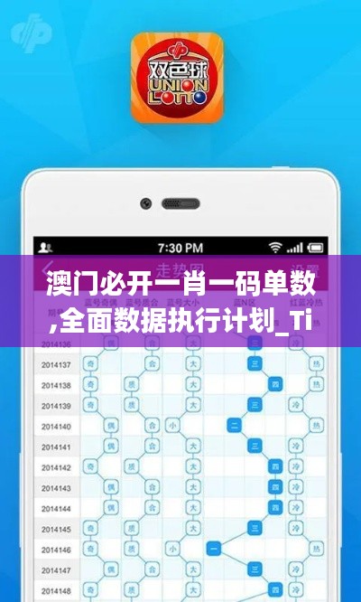 澳門必開一肖一碼單數,全面數據執行計劃_Tizen3.547