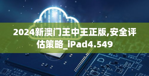 2024新澳門王中王正版,安全評估策略_iPad4.549