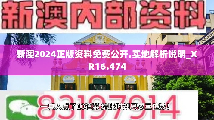 新澳2024正版資料免費公開,實地解析說明_XR16.474