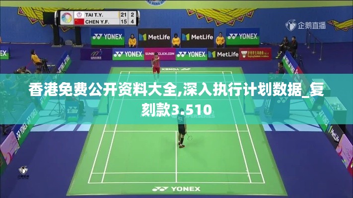 香港免費公開資料大全,深入執行計劃數據_復刻款3.510
