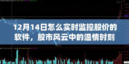 股市風云中的溫情時刻，我與股價實時監控軟件的日常探索