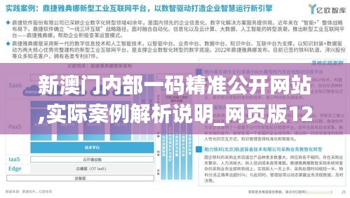 新澳門內部一碼精準公開網站,實際案例解析說明_網頁版12.319
