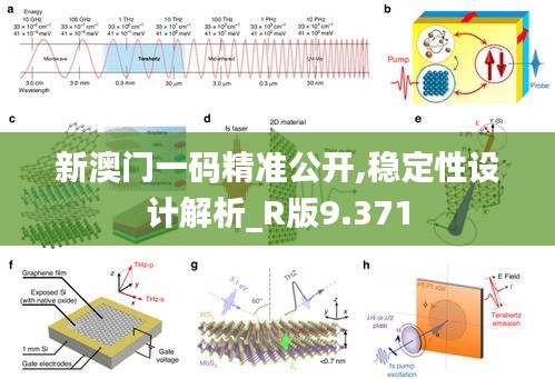 新澳門一碼精準公開,穩定性設計解析_R版9.371