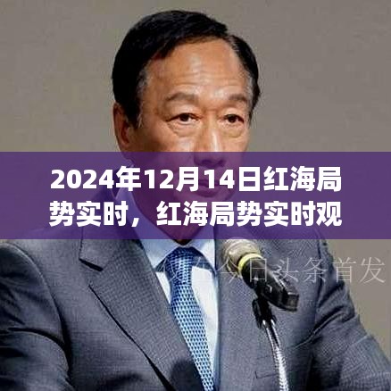 2024年12月14日紅海局勢深度觀察與實時報告