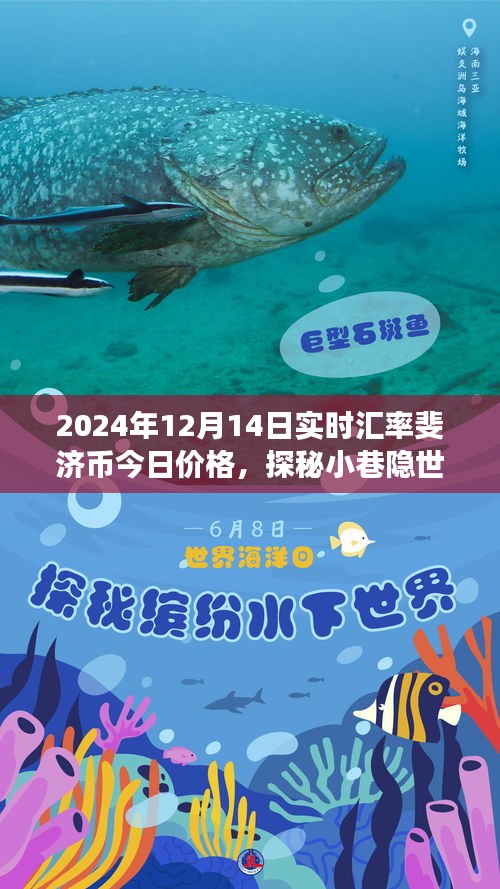探秘小巷隱世特色小店，揭秘斐濟幣今日價格與奇妙之旅（實時匯率更新）