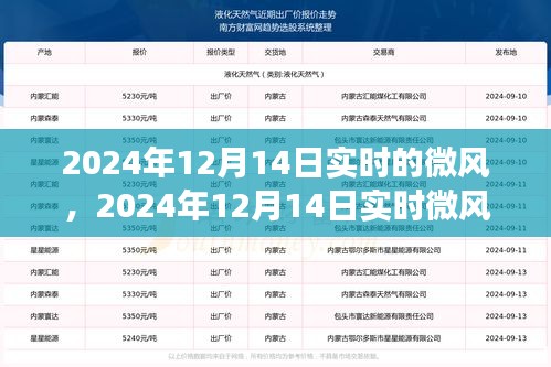 實時微風擁抱變化，自信成就夢想，2024年12月14日實時更新
