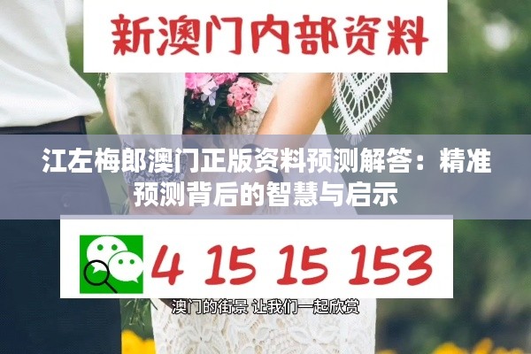 江左梅郎澳門正版資料預測解答：精準預測背后的智慧與啟示
