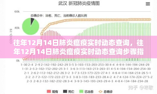 往年12月14日肺炎瘟疫實(shí)時(shí)動態(tài)查詢，步驟指南與實(shí)時(shí)更新