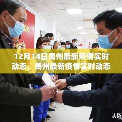 禹州疫情最新實時動態深度解讀與案例分析（12月14日更新）