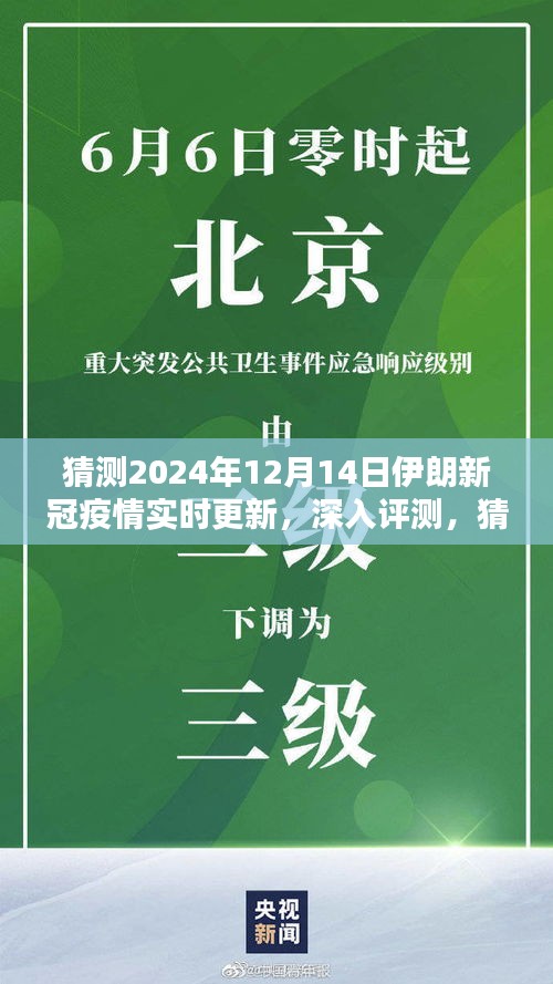 全面分析