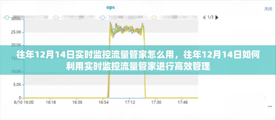 往年12月14日實時監控流量管家的高效使用指南