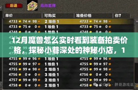 探秘小巷深處的神秘小店，揭秘魔獸裝備拍賣實時價格指南