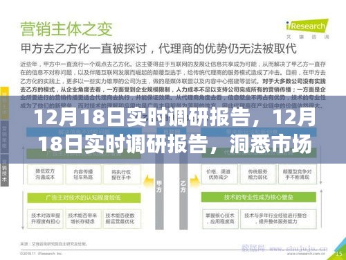 揭秘市場動態與行業趨勢，最新實時調研報告（12月18日）