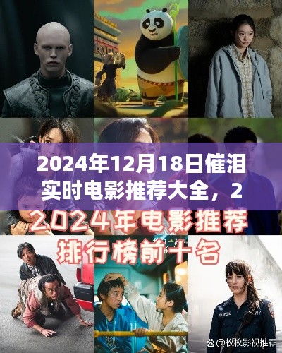 2024催淚電影盛宴，深情之作共鳴心靈