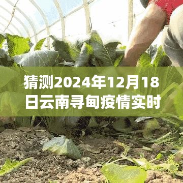 疫情下的云南尋甸之旅，探尋自然美景與內(nèi)心平靜，預(yù)測(cè)未來(lái)疫情實(shí)時(shí)動(dòng)態(tài)