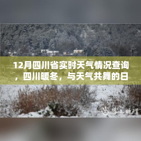 四川暖冬實時天氣查詢，與天氣共舞的日子