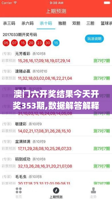 澳門六開獎結果今天開獎353期,數據解答解釋定義_理財版3.373