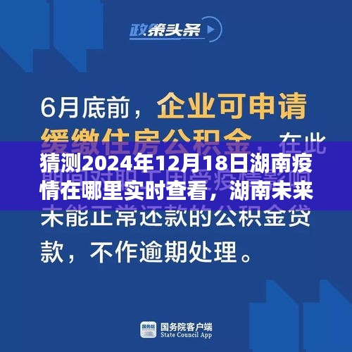 湖南未來疫情展望，探尋實時動態(tài)與深度解析（至2024年視角）