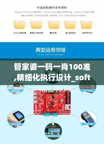 管家婆一碼一肖100準,精細化執行設計_soft1.335