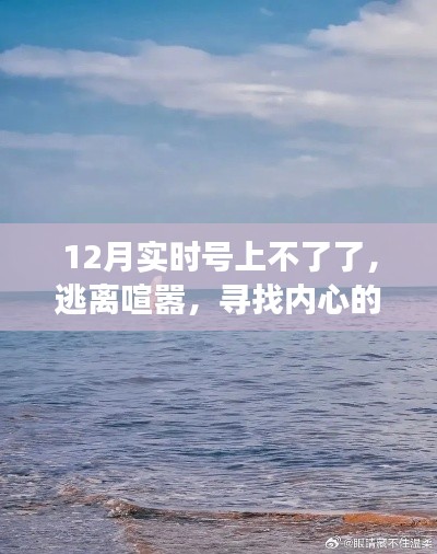 號上不了了引發奇妙旅行，尋找內心的寧靜勝地