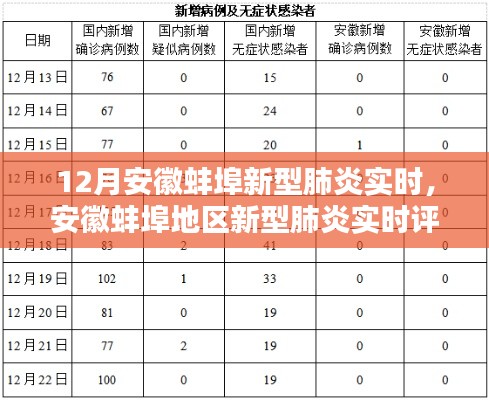 安徽蚌埠地區(qū)新型肺炎實(shí)時(shí)情況評(píng)測(cè)與介紹