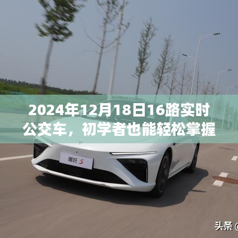 初學(xué)者輕松掌握
