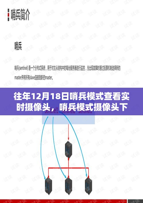 十二月十八日哨兵模式攝像頭下的實時影像時代回顧，特殊日子的特殊視角
