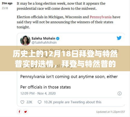 拜登與特然普選情日，心靈與自然的交織旅程紀實分析