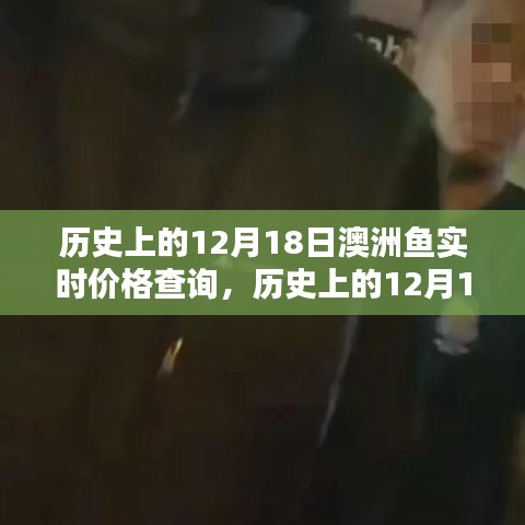 歷史上的12月18日澳洲魚實時價格揭秘，探尋海洋寶藏的價格軌跡