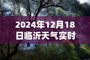 臨沂特色小店揭秘，冬日小巷深處的天氣秘密與別樣風(fēng)情實(shí)時(shí)播報(bào)下載