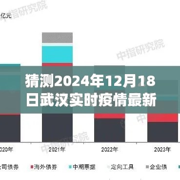 聚焦武漢疫情，實時通報最新動態與未來展望（預測至2024年12月）