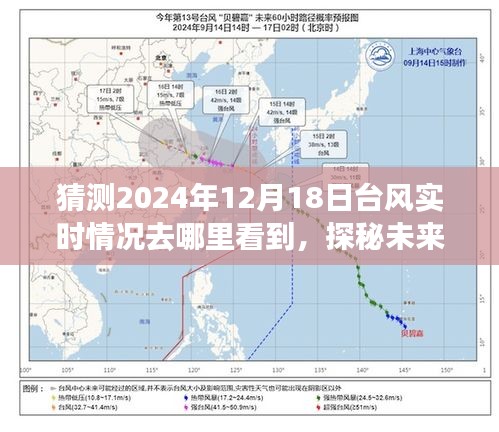 指尖掌控未來天氣，揭秘2024年臺(tái)風(fēng)實(shí)時(shí)追蹤與預(yù)測(cè)
