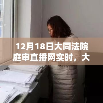 大同法院庭審直播系統評測，用戶體驗為核心的綜合分析報告