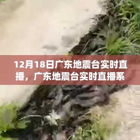 廣東地震臺(tái)實(shí)時(shí)直播系統(tǒng)，科技前沿守護(hù)生活，實(shí)時(shí)掌握地震動(dòng)態(tài)