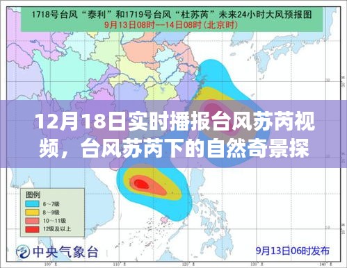 飛墻走壁 第3頁