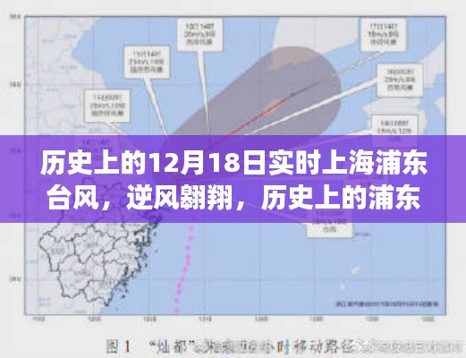 浦東逆風翱翔，歷史上的臺風與成長故事紀實