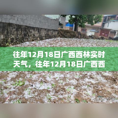 往年12月18日廣西西林實時天氣分析與解讀