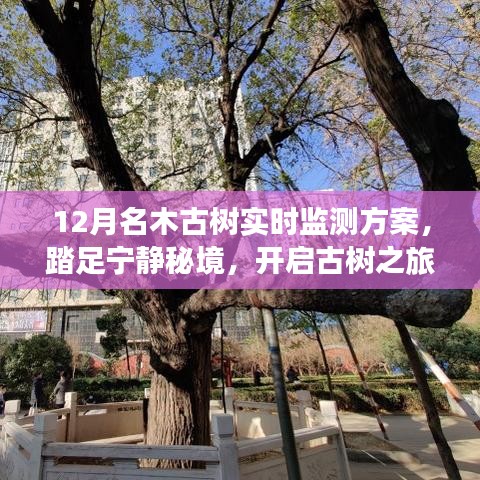 富貴不能淫 第4頁